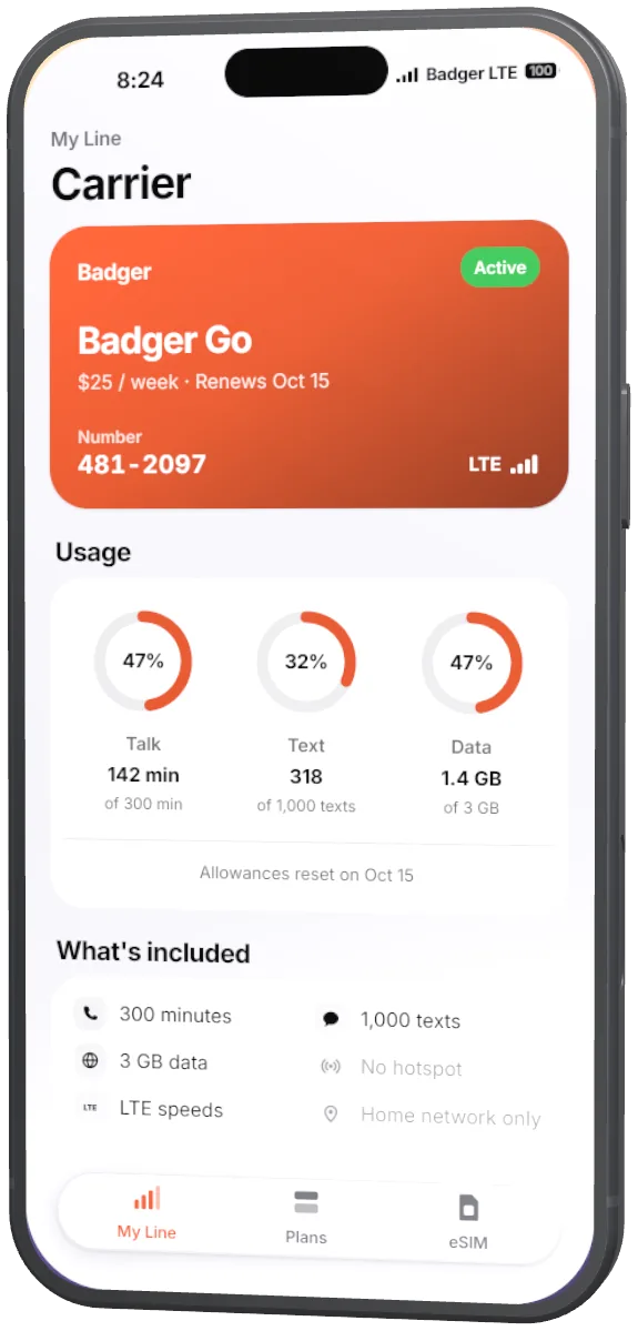 Carrier with an active weekly plan and its usage of talk, text and data.