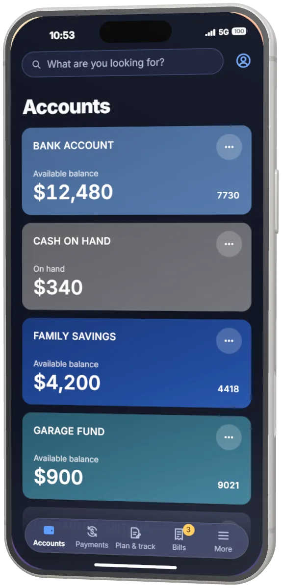 Wallet with a bank account, cash on hand, family savings and a garage fund.